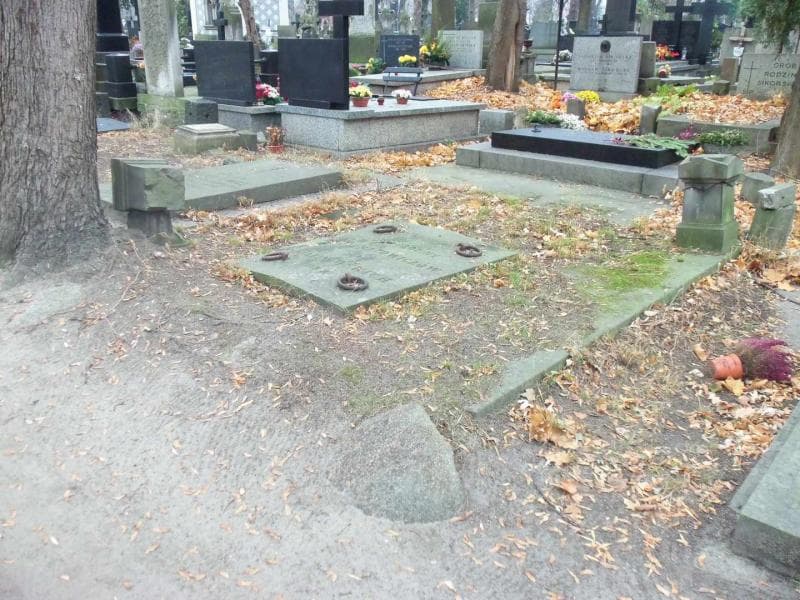 Zdjęcie grobu Malinowscy (1)