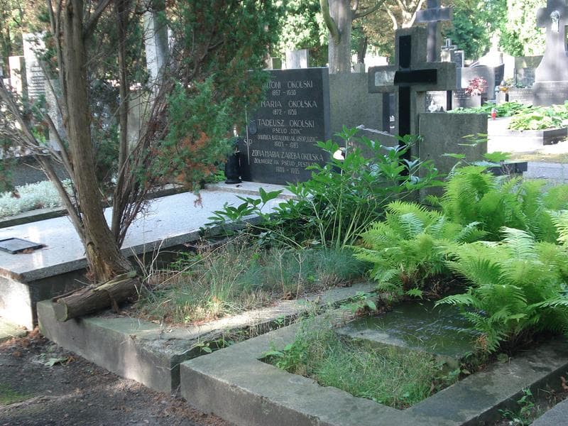 Zdjęcie grobu Norbert Okolski (1)