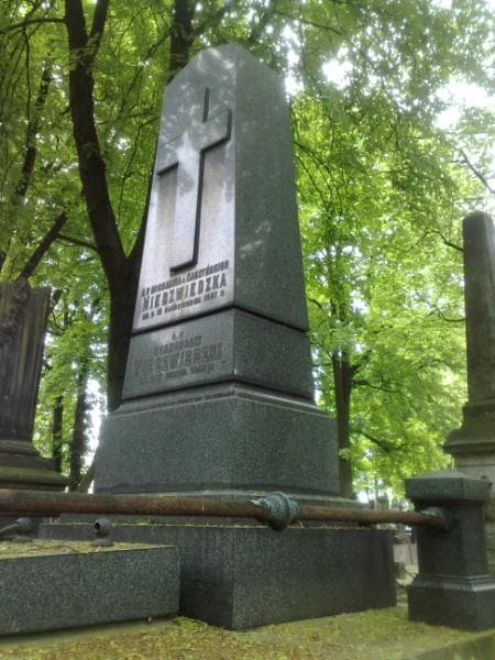 Zdjęcie grobu Michalina Niedzwiedzka (2)