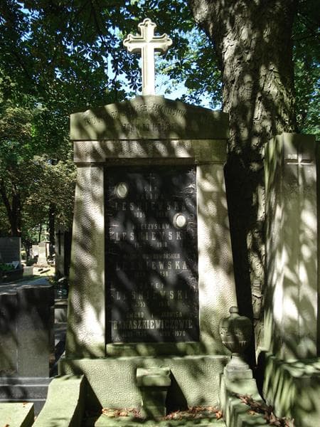 Zdjęcie grobu Edmund Banaszkiewicz (2)