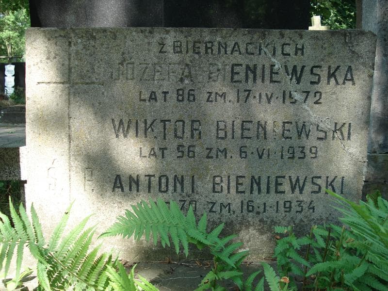 Zdjęcie grobu Wiktor Bieniewski (2)