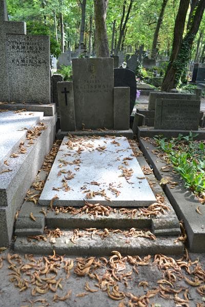 Zdjęcie grobu Tadeusz Malinowski (1)