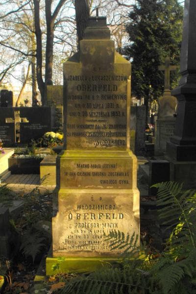 Zdjęcie grobu Włodzimierz Oberfeld (2)