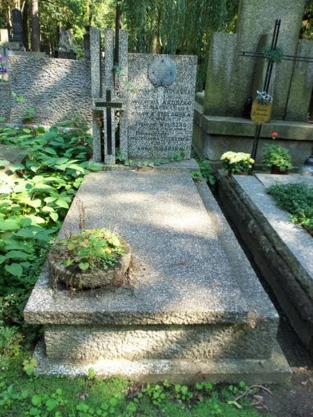 Zdjęcie grobu: Mieczysława Stolarska