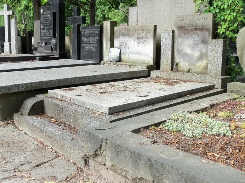 Zdjęcie grobu Franciszek Malczyk (1)