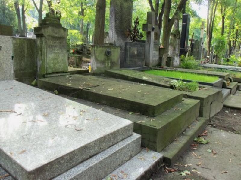 Zdjęcie grobu Edward Lewandowski (1)
