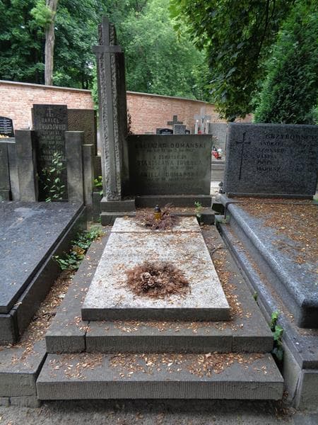 Zdjęcie grobu Wacław Domański (1)