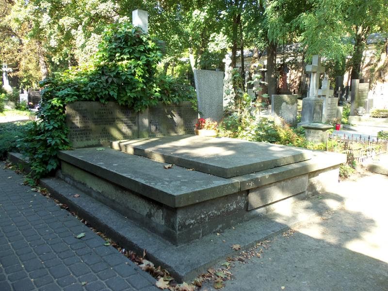 Zdjęcie grobu Wacława Domaniewska (1)
