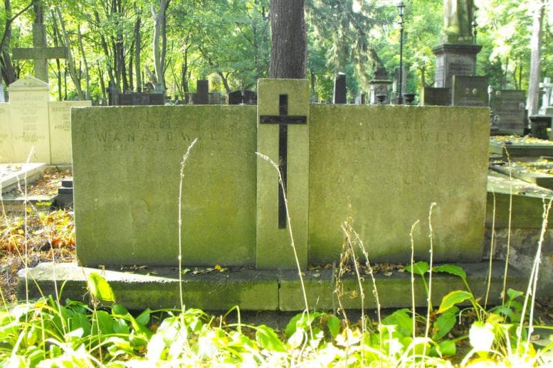 Zdjęcie grobu Ludwik Wanatowicz (2)