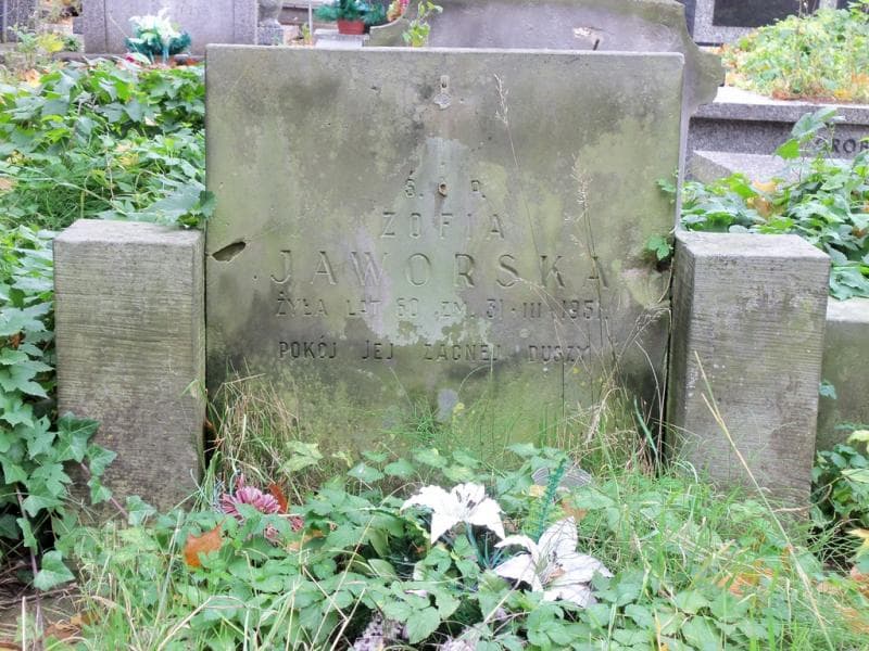 Zdjęcie grobu Zofia Jaworska (1)