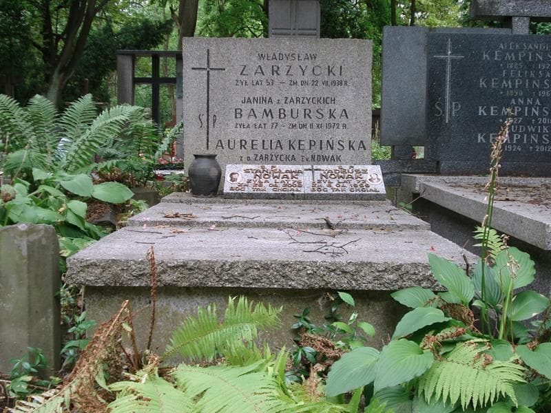 Zdjęcie grobu Janina Bamburska (1)