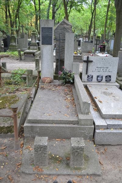 Zdjęcie grobu Jadwiga Teliszewska (1)