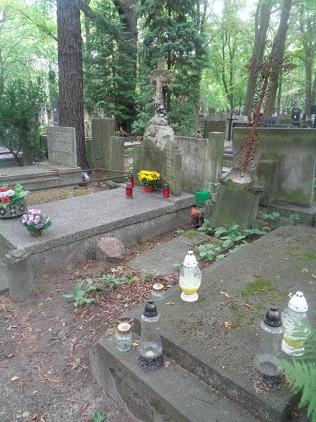 Zdjęcie grobu: Marya Napieralska