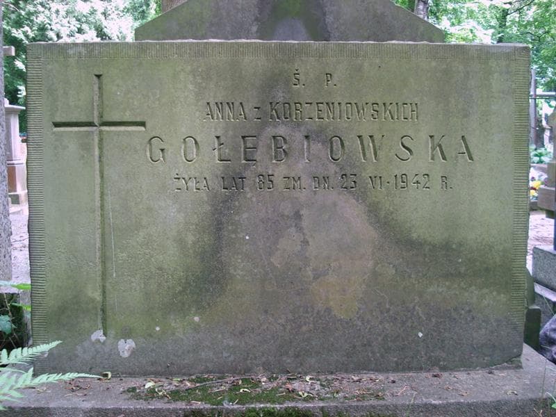 Zdjęcie grobu Anna Gołębiowska (2)