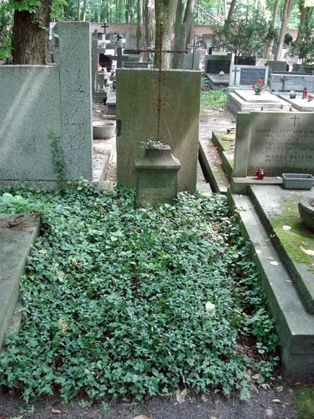 Zdjęcie grobu: Witold Narewski