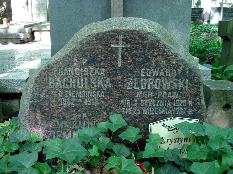 Zdjęcie grobu Franciszka Bachulska (1)