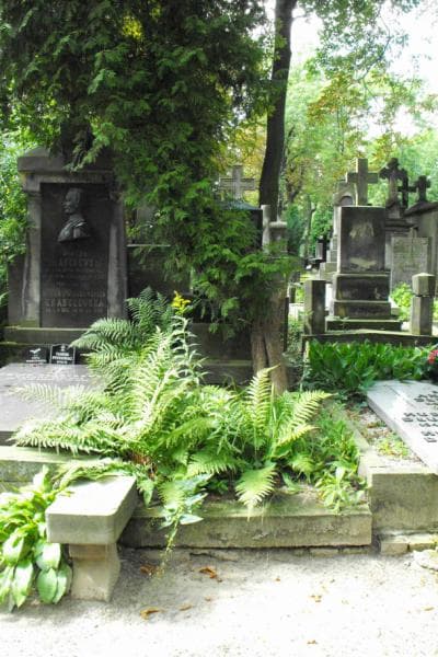 Zdjęcie grobu: Marjanna Wasiljewa