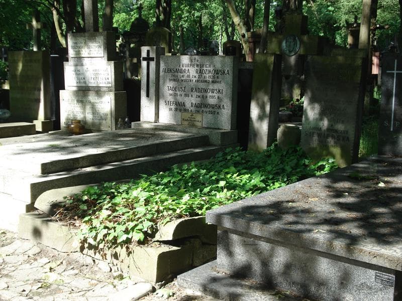 Zdjęcie grobu Faustyna Rybińska (1)