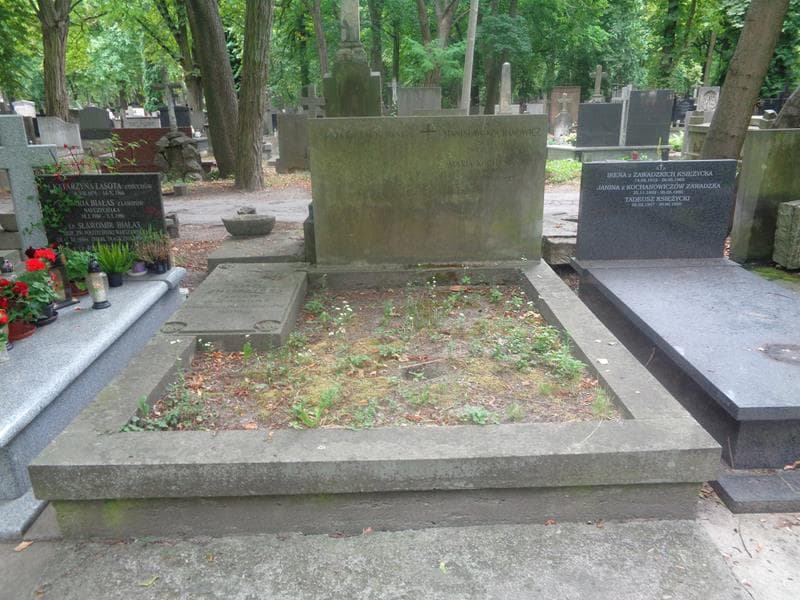 Zdjęcie grobu Stanisław Kochanowicz (1)