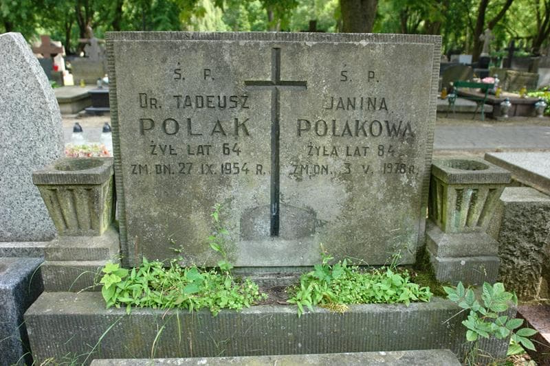Zdjęcie grobu Janina Polakowa (2)