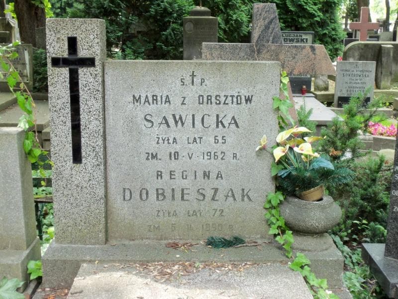 Zdjęcie grobu Regina Dobieszak (2)