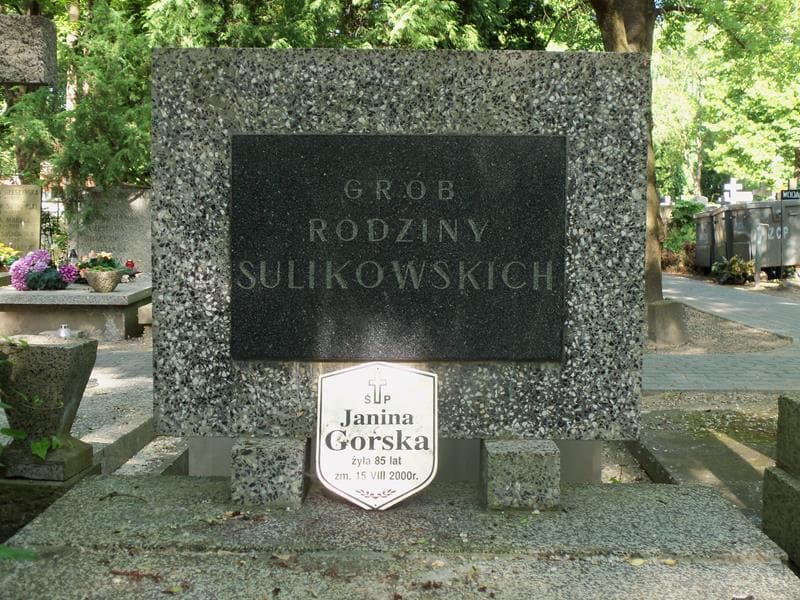 Zdjęcie grobu Kazimiera Dobrowolska (2)