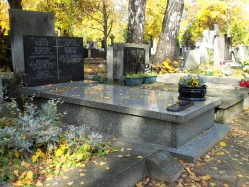 Zdjęcie grobu Wincenty Martusiewicz (1)