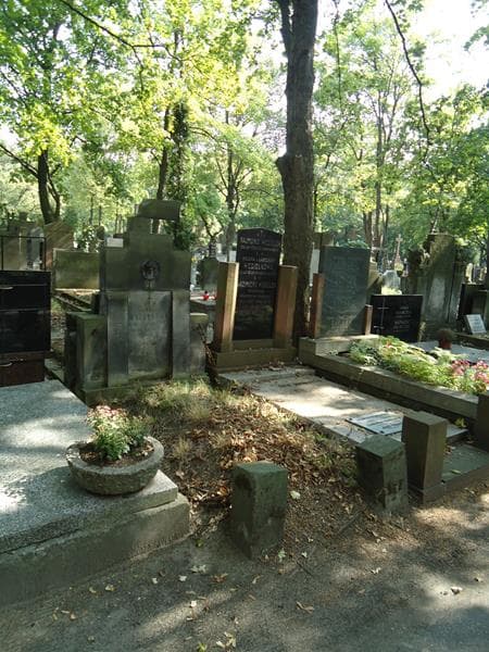 Zdjęcie grobu Antoni Mączyński (1)