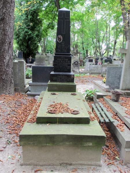 Zdjęcie grobu: Juljan Robert Toczyski