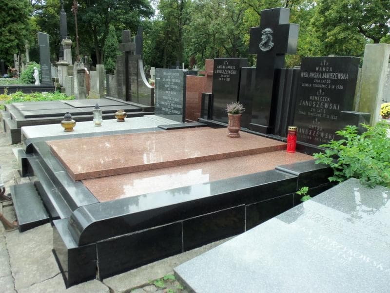 Zdjęcie grobu Antoś Januszewski (1)