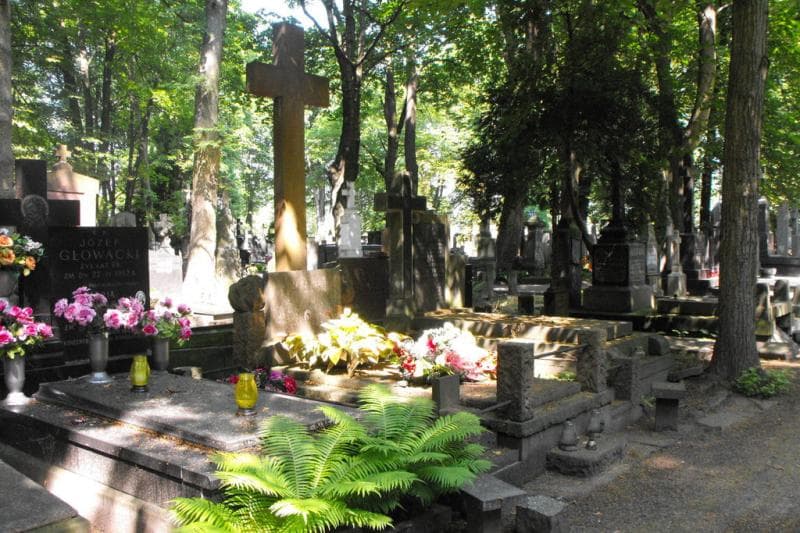 Zdjęcie grobu Narcyz Klejn (1)