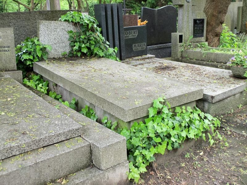 Zdjęcie grobu Maria Czarnecka (1)