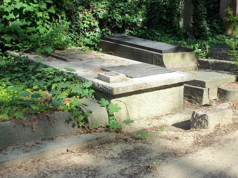 Zdjęcie grobu Eugenia Nowotczyńska (1)