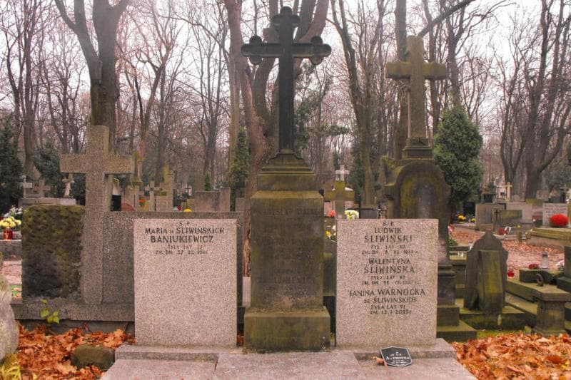 Zdjęcie grobu Władysław Walter (2)