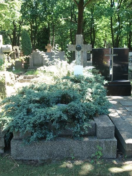 Zdjęcie grobu: Janina Jamrógiewicz