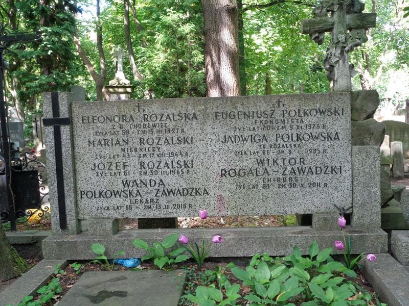 Zdjęcie grobu Eugeniusz Polkowski (2)