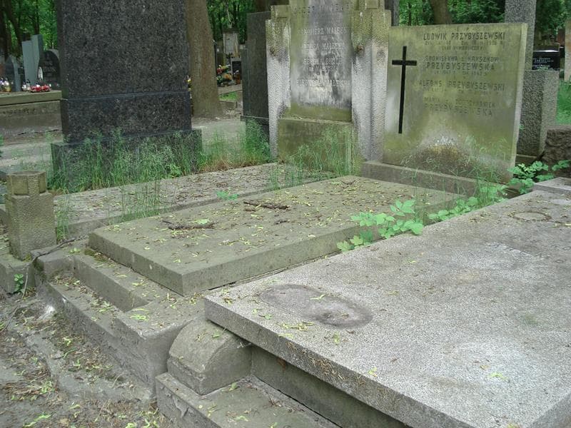 Zdjęcie grobu Ludwik Przybyszewski (1)