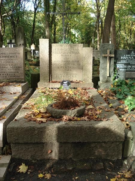 Zdjęcie grobu: Maria Kryńska-Sweceńy