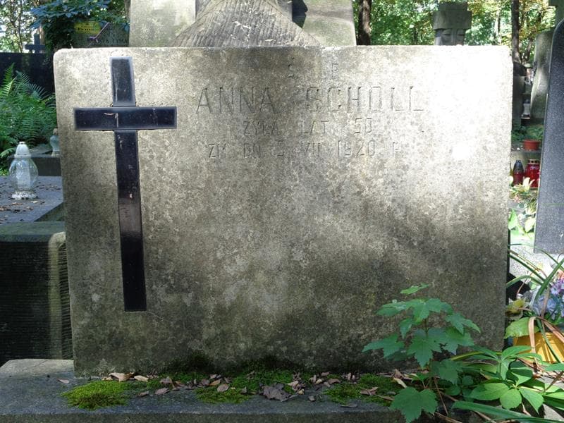 Zdjęcie grobu Anna Scholl (2)