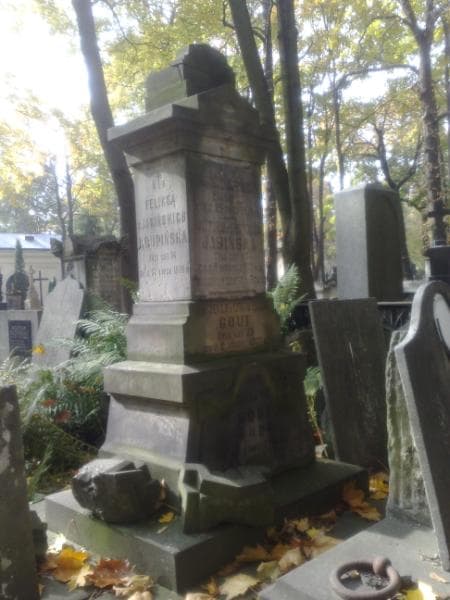 Zdjęcie grobu Ludwik Gout (1)