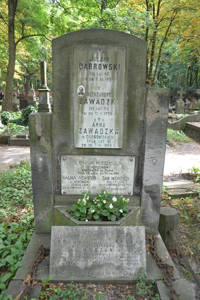 Zdjęcie grobu Juljan Dąbrowski (2)