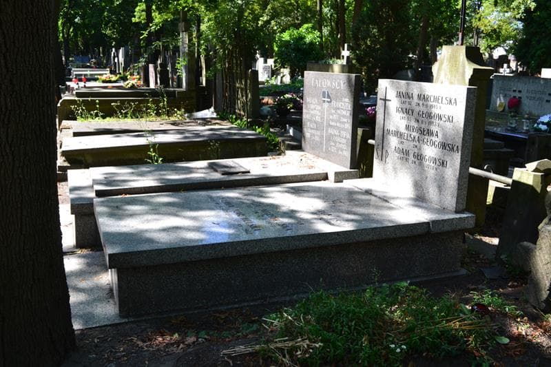 Zdjęcie grobu: Aleksander Marchelski