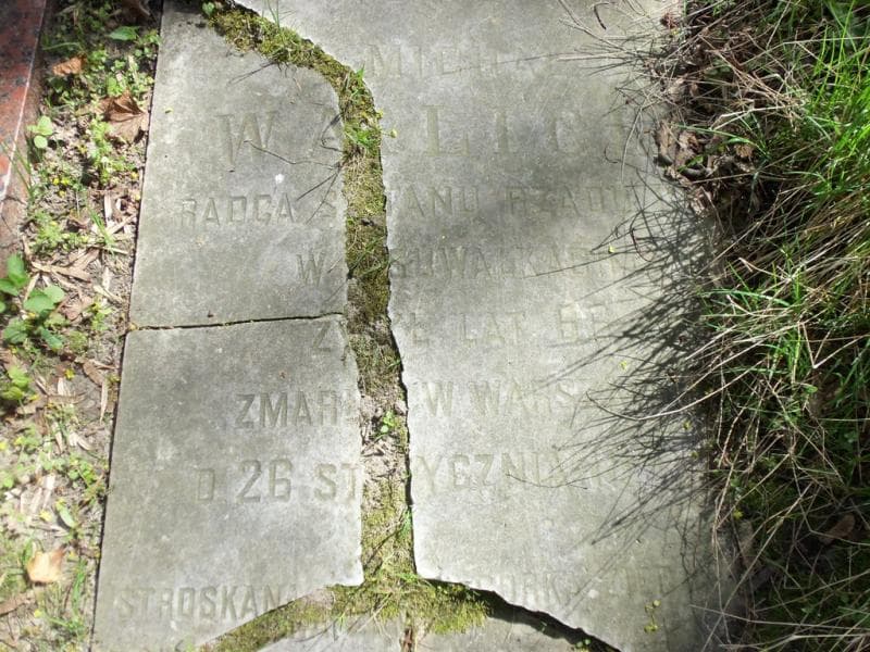 Zdjęcie grobu Michał Walicki (2)