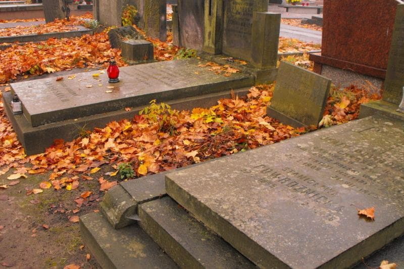 Zdjęcie grobu Jadwiga Frankowska (1)