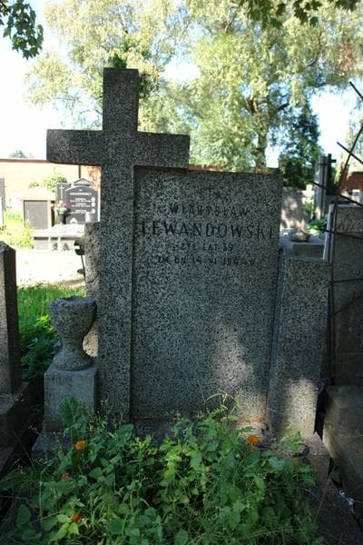 Zdjęcie grobu Władysław Lewandowski (2)