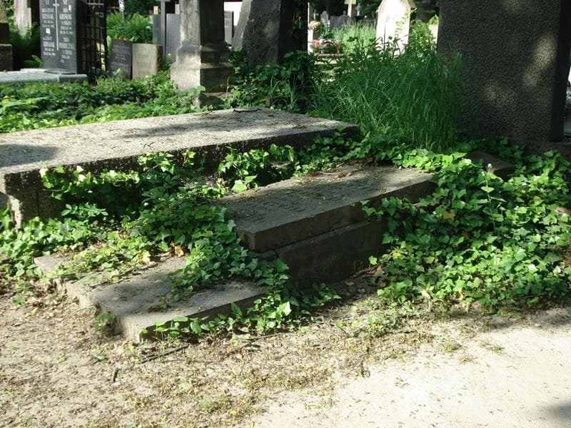 Zdjęcie grobu Jerzy Grzybowski (1)