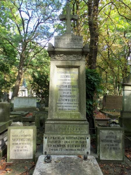 Zdjęcie grobu Aleksander Dziewulski (2)