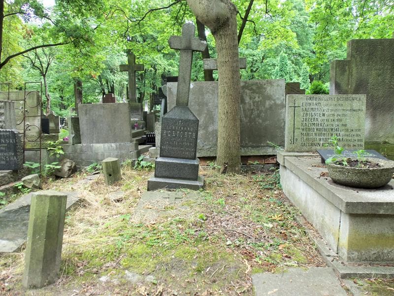Zdjęcie grobu: Ferdynand Herforth
