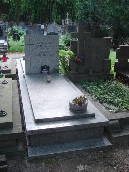 Zdjęcie grobu Teresa Wrońska (2)