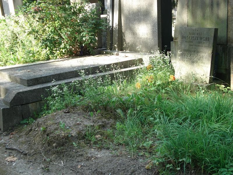 Zdjęcie grobu Bronisław Bohdan Wyszyński (1)